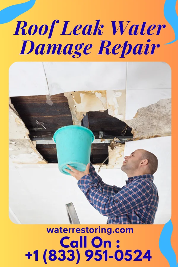Roof Leak Water Damage Repair in Green, KS