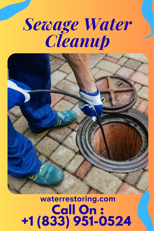 Sewage Water Cleanup in Green, KS